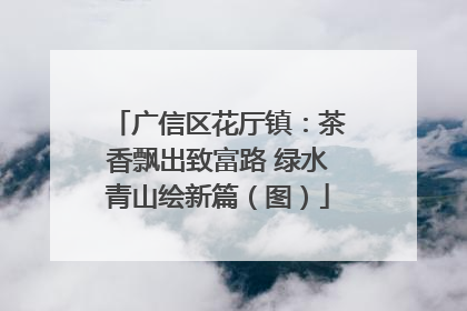 广信区花厅镇：茶香飘出致富路 绿水青山绘新篇（图）