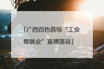 广西百色首场“工会帮就业”直播落幕