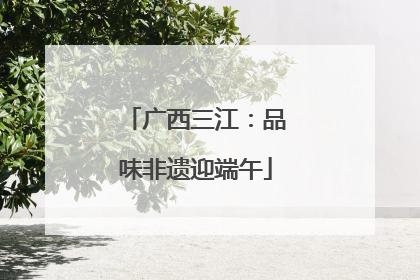广西三江：品味非遗迎端午