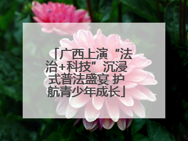 广西上演“法治+科技”沉浸式普法盛宴 护航青少年成长