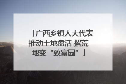 广西乡镇人大代表推动土地盘活 撂荒地变“致富园”