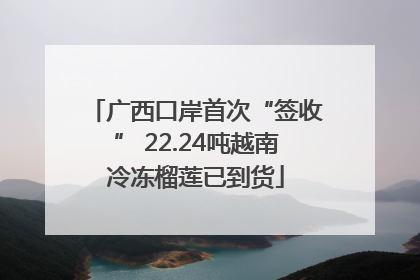 广西口岸首次“签收” 22.24吨越南冷冻榴莲已到货