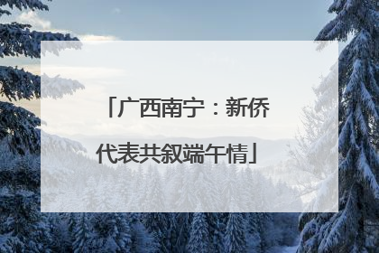 广西南宁：新侨代表共叙端午情