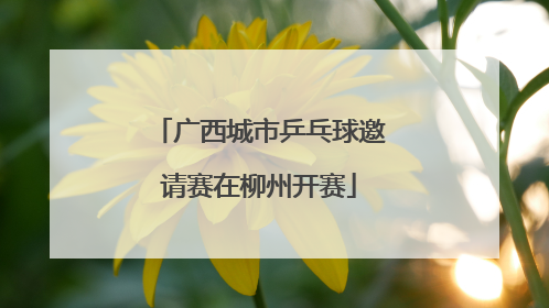 广西城市乒乓球邀请赛在柳州开赛