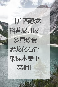 广西恐龙科普展开展 多具珍贵恐龙化石骨架标本集中亮相