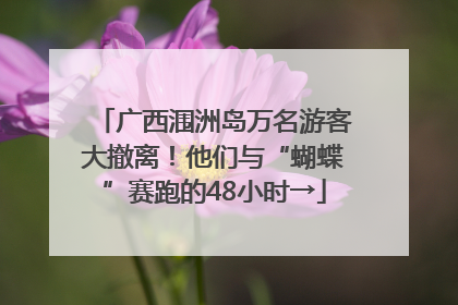 广西涠洲岛万名游客大撤离！他们与“蝴蝶”赛跑的48小时→