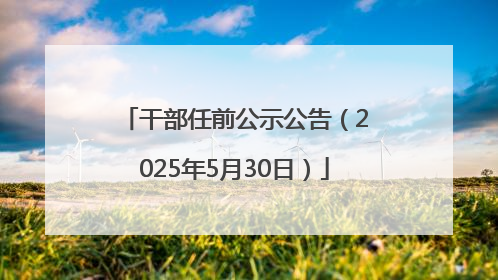 干部任前公示公告（2025年5月30日）