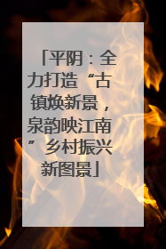 平阴：全力打造“古镇焕新景，泉韵映江南”乡村振兴新图景