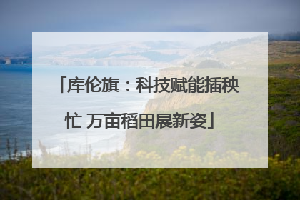 库伦旗：科技赋能插秧忙 万亩稻田展新姿