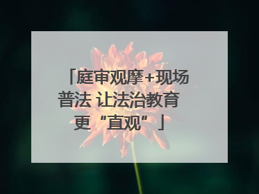 庭审观摩+现场普法 让法治教育更“直观”