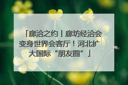 廊洽之约丨廊坊经洽会变身世界会客厅！河北扩大国际“朋友圈”