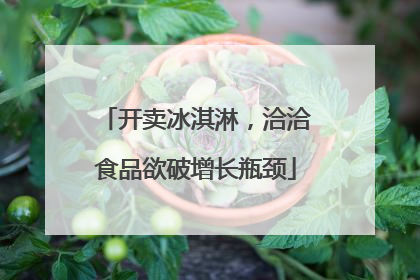 开卖冰淇淋，洽洽食品欲破增长瓶颈