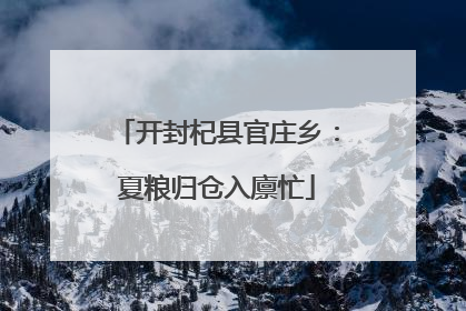 开封杞县官庄乡：夏粮归仓入廪忙