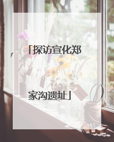 探访宣化郑家沟遗址