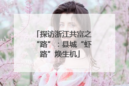 探访浙江共富之“路”：县城“虾路”焕生机