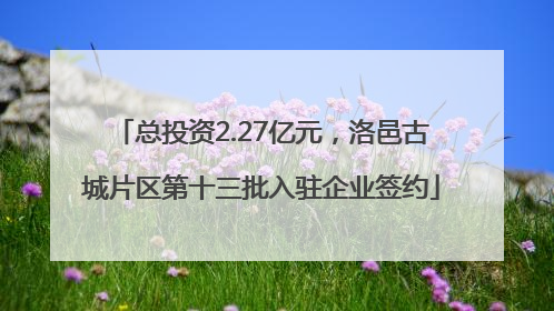 总投资2.27亿元，洛邑古城片区第十三批入驻企业签约