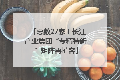 总数27家！长江产业集团“专精特新”矩阵再扩容