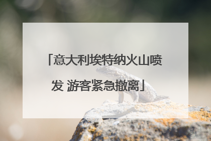 意大利埃特纳火山喷发 游客紧急撤离