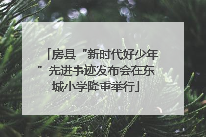 房县“新时代好少年”先进事迹发布会在东城小学隆重举行