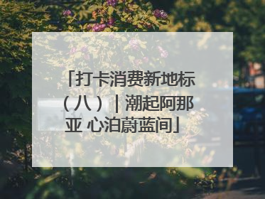 打卡消费新地标（八）｜潮起阿那亚 心泊蔚蓝间
