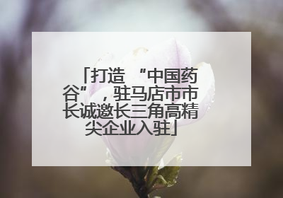 打造 “中国药谷”，驻马店市市长诚邀长三角高精尖企业入驻