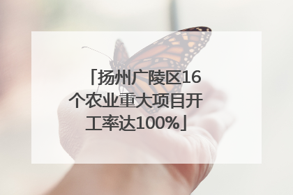 扬州广陵区16个农业重大项目开工率达100%