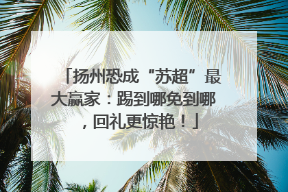 扬州恐成“苏超”最大赢家：踢到哪免到哪，回礼更惊艳！