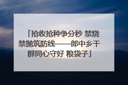 抢收抢种争分秒 禁烧禁抛筑防线——郎中乡干群同心守好 粮袋子