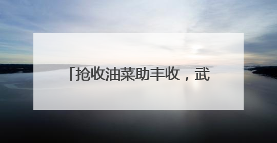 抢收油菜助丰收，武陵源一中数百名师生在黄龙洞生态田园上演“青春助农记”