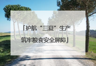 护航“三夏”生产 筑牢粮食安全屏障