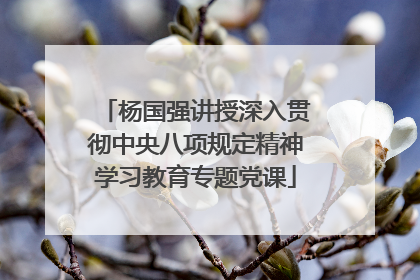 杨国强讲授深入贯彻中央八项规定精神学习教育专题党课