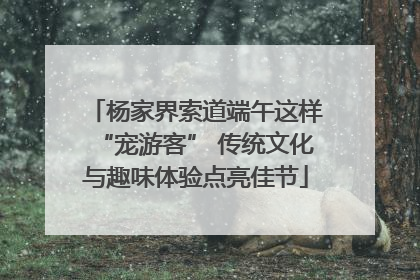 杨家界索道端午这样“宠游客” 传统文化与趣味体验点亮佳节