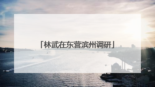 林武在东营滨州调研
