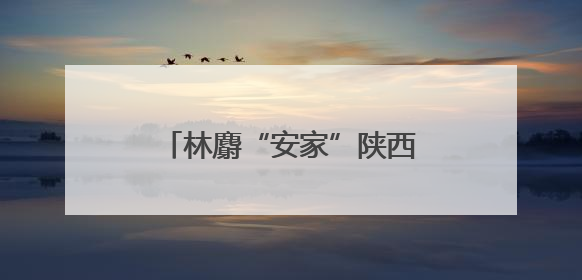 林麝“安家”陕西子洲 生态链上崛起的“黄金”产业