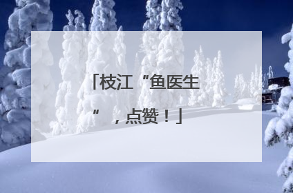 枝江“鱼医生”，点赞！