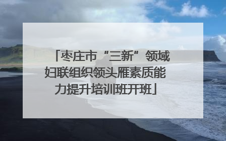 枣庄市“三新”领域妇联组织领头雁素质能力提升培训班开班