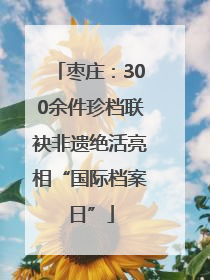 枣庄：300余件珍档联袂非遗绝活亮相“国际档案日”
