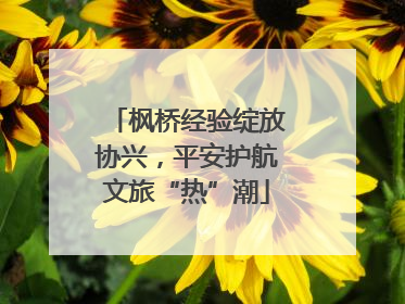 枫桥经验绽放协兴，平安护航文旅“热”潮