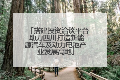 搭建投资洽谈平台 助力四川打造新能源汽车及动力电池产业发展高地