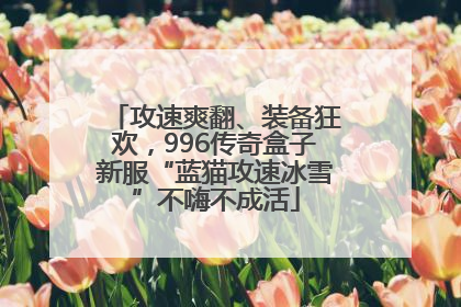 攻速爽翻、装备狂欢，996传奇盒子新服“蓝猫攻速冰雪”不嗨不成活