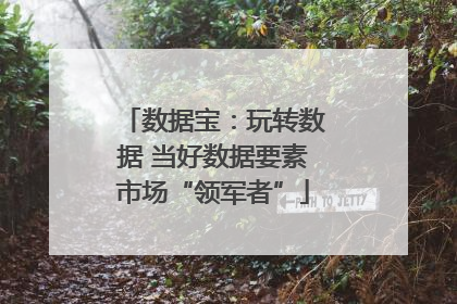 数据宝：玩转数据 当好数据要素市场“领军者”