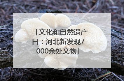 文化和自然遗产日：河北新发现7000余处文物