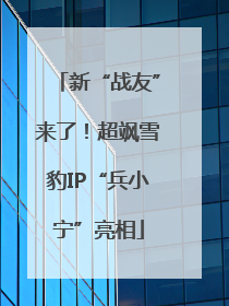 新“战友”来了！超飒雪豹IP“兵小宁”亮相