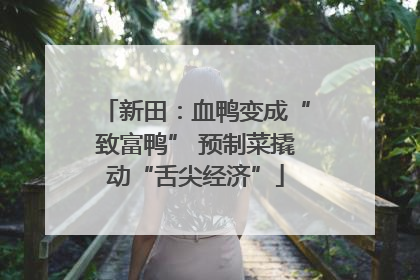 新田：血鸭变成“致富鸭” 预制菜撬动“舌尖经济”