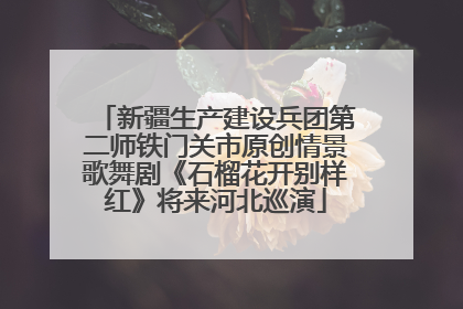 新疆生产建设兵团第二师铁门关市原创情景歌舞剧《石榴花开别样红》将来河北巡演