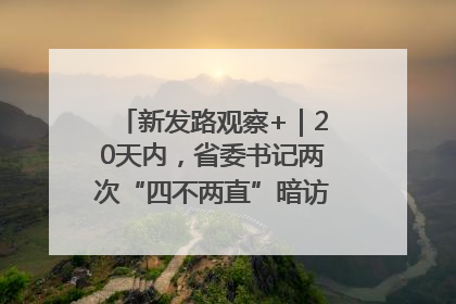 新发路观察+｜20天内，省委书记两次“四不两直”暗访，有何深意？
