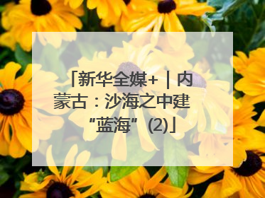 新华全媒+｜内蒙古：沙海之中建“蓝海”(2)