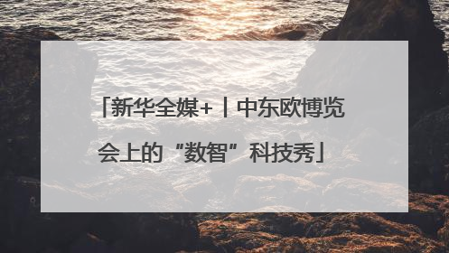 新华全媒+丨中东欧博览会上的“数智”科技秀