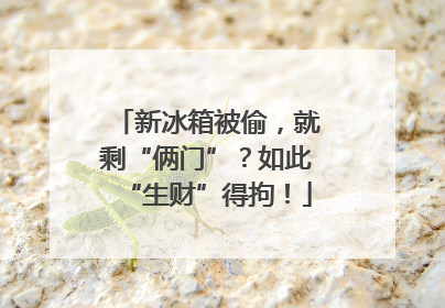 新冰箱被偷，就剩“俩门”？如此“生财”得拘！