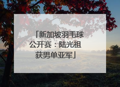 新加坡羽毛球公开赛：陆光祖获男单亚军